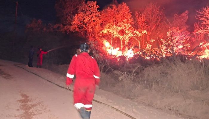 Sehari Empat Kali Karhutla, 38 Hektare Lahan di Samboja Terbakar