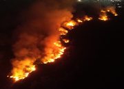 Kebakaran Lahan 10 Hektare di Sangasanga Mendekati Permukiman, Damkar Berjibaku Padamkan Api
