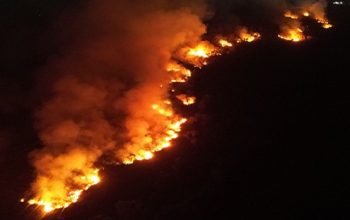 Kebakaran lahan seluas sekitar 10 hektare di Jalan Haliburton, Kelurahan Pendingin, Kecamatan Sangasanga. (Dok. Disdamkarmatan Kukar)