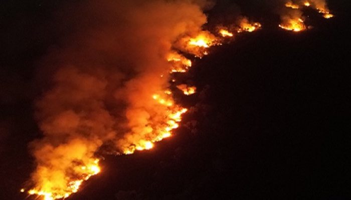 Kebakaran Lahan 10 Hektare di Sangasanga Mendekati Permukiman, Damkar Berjibaku Padamkan Api