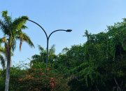 17 Titik PJU Disikat Maling, Jalan Gelap Bikin Warga Was-was 9 Sejumlah lampu PJU di Jalan Poros Tenggarong-Samarinda padam akibat kabel yang diduga dicuri. (istimewa)