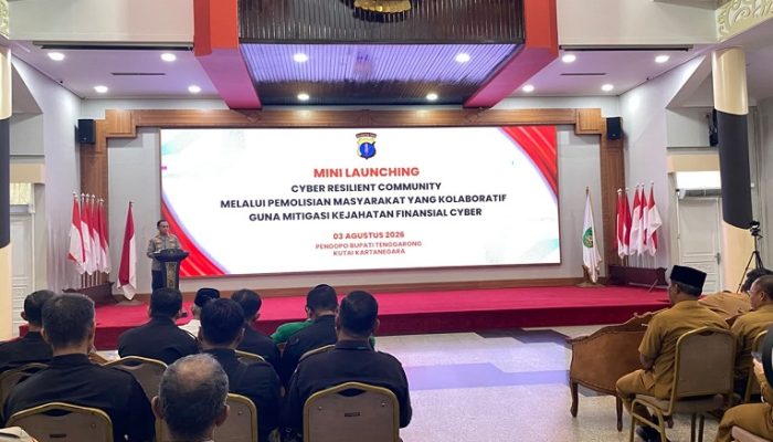 mini launcing