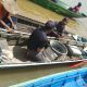 Nelayan Asal Loa Janan Diduga Tenggelam di Sungai Mahakam, Tim Gabungan Masih Lakukan Pencarian