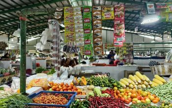 Harga Bapokting di Tenggarong Stabil, Ayam Potong Masih Fluktuatif