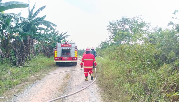 Api Membesar di Airport Badak 2, 5 Hektare Lahan Terbakar dan Nyaris Dekati Pesantren 2 pemadaman oleh disdamkarmatan kukar