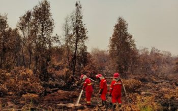 Kebakaran Hutan dan Lahan (Karhutla) di Kalimantan. (Dok. Kementerian Kehutanan)