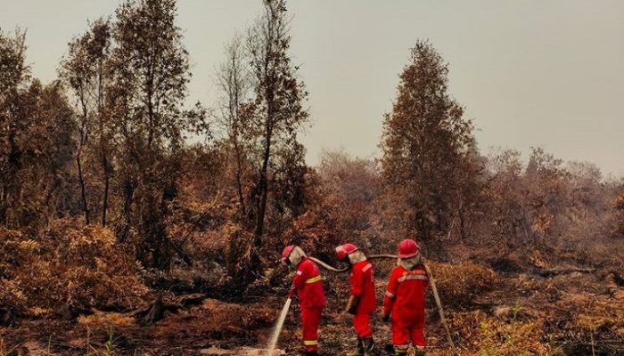 Pemerintah Perkuat Operasi Terpadu Karhutla di Kalimantan, Tambah Dukungan Udara dan Pemadaman Darat