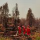 Kebakaran Hutan dan Lahan (Karhutla) di Kalimantan. (Dok. Kementerian Kehutanan)