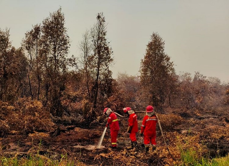 Kebakaran Hutan dan Lahan (Karhutla) di Kalimantan. (Dok. Kementerian Kehutanan)