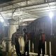 Ada Dugaan Tipikor, Polisi Geledah Rumah di Tenggarong hingga Malam