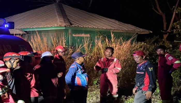 Kebakaran Lahan 10 Hektare di Sangasanga Mendekati Permukiman, Damkar Berjibaku Padamkan Api 2 proses pemadaman 1