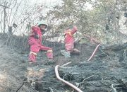 Api Mengganas di Sanga-Sanga, 1 Hektare Lahan Terbakar dan Nyaris Sambar Rumah Warga
