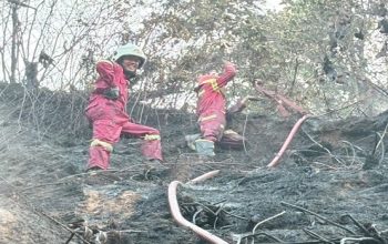 Api Mengganas di Sanga-Sanga, 1 Hektare Lahan Terbakar dan Nyaris Sambar Rumah Warga 5 Suasana Petugas Berusaha Memadamkan Api Yang Berkobar di Jalan Budiono RT 02, Kelurahan Muara Sanga-Sanga, Kecamatan Sanga-Sanga. (Dok. Disdamkarmatan Kukar)