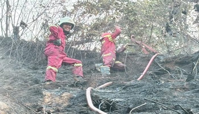 Api Mengganas di Sanga-Sanga, 1 Hektare Lahan Terbakar dan Nyaris Sambar Rumah Warga