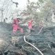 Api Mengganas di Sanga-Sanga, 1 Hektare Lahan Terbakar dan Nyaris Sambar Rumah Warga