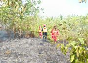 Api Membesar di Airport Badak 2, 5 Hektare Lahan Terbakar dan Nyaris Dekati Pesantren
