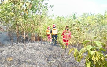 Suasana Petugas Berusaha Memadamkan Api. (Dok. Disdamkarmatan Kukar)