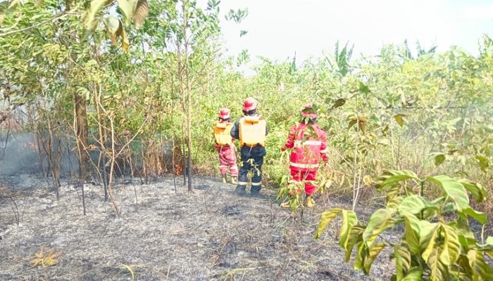 Api Membesar di Airport Badak 2, 5 Hektare Lahan Terbakar dan Nyaris Dekati Pesantren