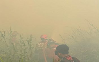 Kebakaran Karhutla di Jalan Haliburton, Kelurahan Pendingin, Kecamatan Sangasanga. (Disdamkarmatan Kukar)