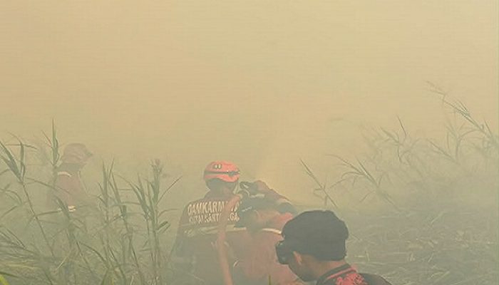 Karhutla di Sangasanga Hanguskan Sekitar 9 Hektare Lahan