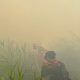 Karhutla di Sangasanga Hanguskan Sekitar 9 Hektare Lahan