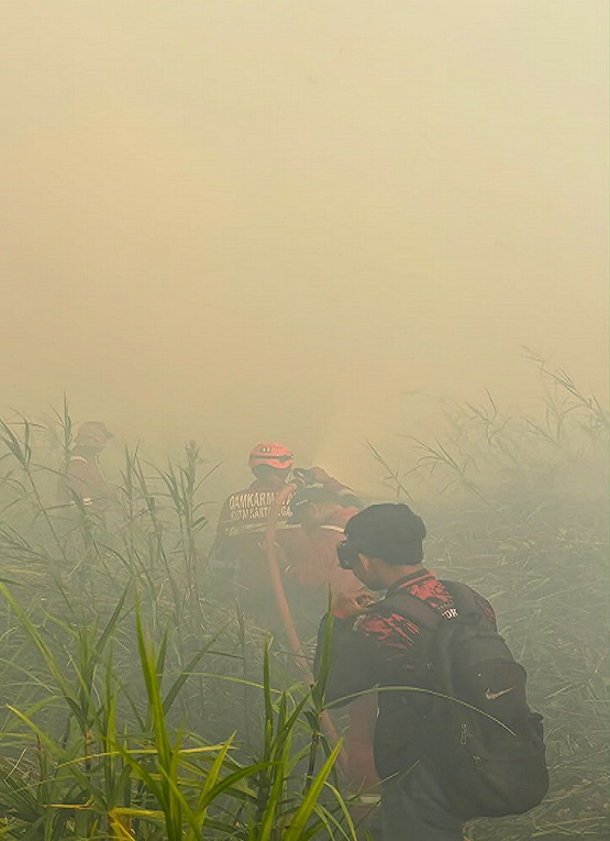 Kebakaran Karhutla di Jalan Haliburton, Kelurahan Pendingin, Kecamatan Sangasanga. (Disdamkarmatan Kukar)