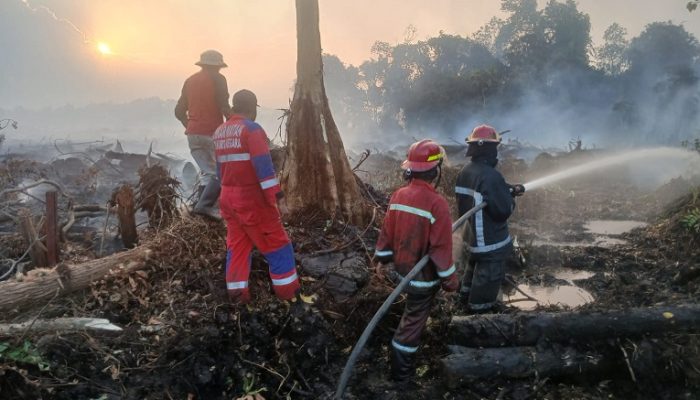 Karhutla Hanguskan 60 Hektare Lahan di Muara Badak 2 proses pendinginan kecamatan muara badak