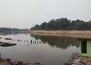 Sungai Belayan Surut, Ikan Berkumpul dan Hasil Tangkapan Warga Meningkat