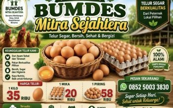 BUMDes Muara Muntai Ilir Kembangkan Ayam Petelur, Produksi 250 Telur per Hari Langsung Ludes