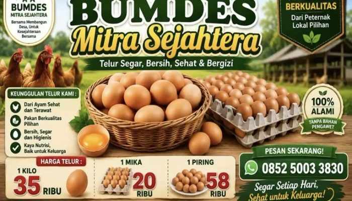 BUMDes Muara Muntai Ilir Kembangkan Ayam Petelur, Produksi 250 Telur per Hari Langsung Ludes