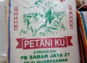Beras Petani Sidomukti Tembus Pasar Kota, Nilai Jual Hasil Panen Kian Meningkat
