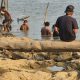 Musim Kemarau, Warga Embalut Ramai-Ramai Mendulang Emas di Pinggir Sungai Mahakam