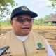 Stok Pangan Kukar Aman hingga Akhir Tahun, Petani Gagal Panen Akibat Kekeringan Akan Dapat Bantuan
