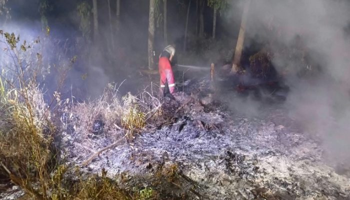 Karhutla di Kota Bangun Seberang Meluas, Api Masih Terdeteksi di Area Sulit Dijangkau