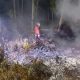 Karhutla di Kota Bangun Seberang Meluas, Api Masih Terdeteksi di Area Sulit Dijangkau