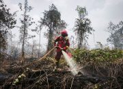 Kemenhut Perkuat Pengendalian di Kalimantan Tengah. (Dok. Kementeri Kehutanan)