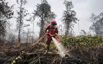 Kemenhut Perkuat Pengendalian di Kalimantan Tengah. (Dok. Kementeri Kehutanan)