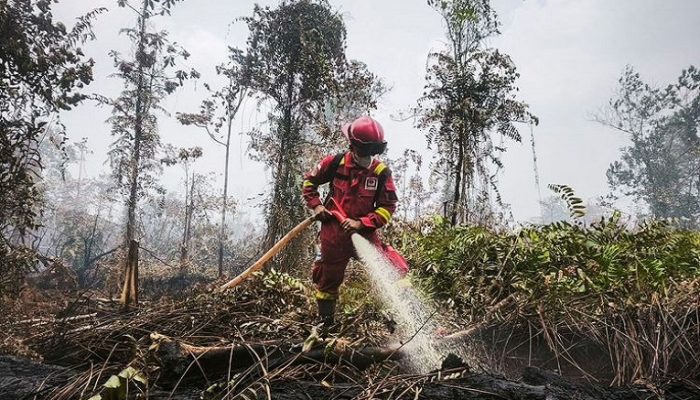 Hotspot Nasional 559 Titik, Kemenhut Perkuat Pengendalian di Kalimantan Tengah