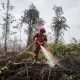 Hotspot Nasional 559 Titik, Kemenhut Perkuat Pengendalian di Kalimantan Tengah