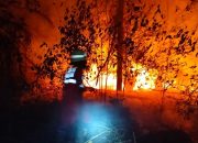 Petugas Berusaha Padamkan Kobaran Api. (Dok. Disdamkarmatan Kukar)