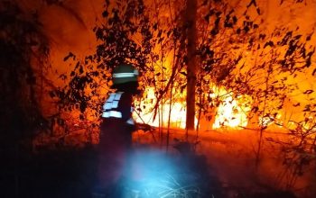 Petugas Berusaha Padamkan Kobaran Api. (Dok. Disdamkarmatan Kukar)