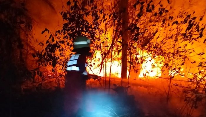 Tenggarong Masih Zona Merah, Relawan Puluhan Kali “Kejar” Api Karhutla