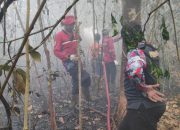 Karhutla 30 Hektare Melanda Area Pertamina di Desa Kutai Lama.