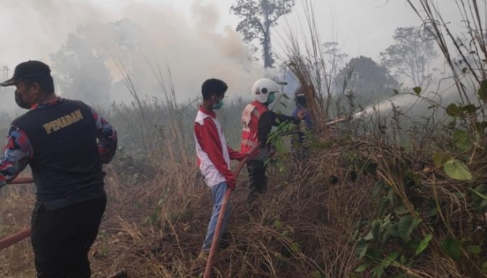kebakaran kutai lama 2