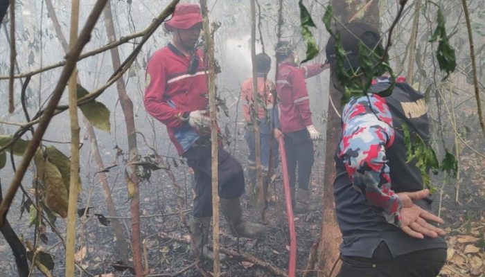 Karhutla 30 Hektare Melanda Area Pertamina di Desa Kutai Lama.