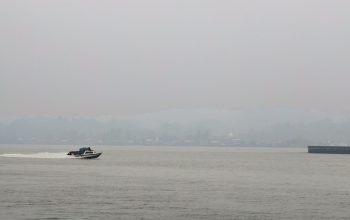 Lalulintas di Perairan Sungai Mahakam Tenggarong (Foto : Andri/dutakaltimnews.com)