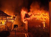 Kebakaran di Jalan Pesut, RT 13, Kelurahan Timbau, Kecamatan Tenggarong. (Irvan/dutakaltimnews.com)