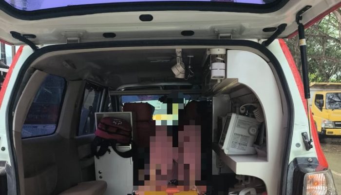 Berhenti di Lampu Merah, Seorang Ibu-Ibu Tertimpa Pohon Kering di Jalan Belida Tenggarong