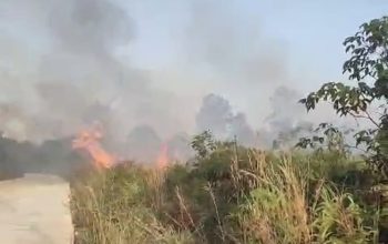 Proses Pemadaman Karhutla di Desa Saliki, Kecamatan Muara Badak (Dok. Pemdes Saliki)
