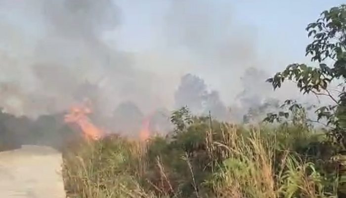 Kebakaran Lahan di Saliki Belum Padam, Helikopter Dikerahkan Lakukan Penyiraman
